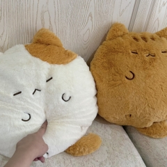Mèo tựa lưng Sami Cat
