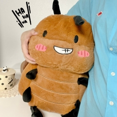 Gián cường tráng