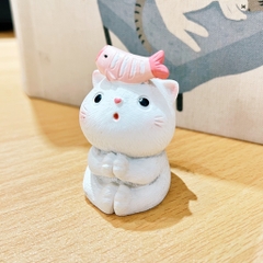 Mèo Shiro Kitten Hạnh Phúc