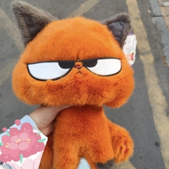 Mèo cam Meidikai