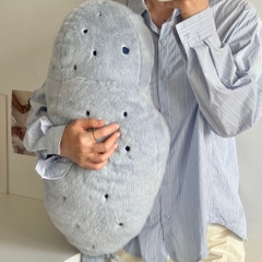 Hải cẩu bụng béo Habi