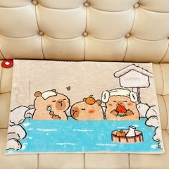Thảm Capybara mềm mịn
