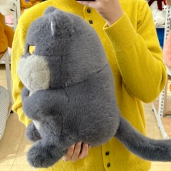 Gấu bông mèo béo chảnh choẹ