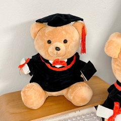 Gấu Teddy tốt nghiệp