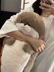 Hải cẩu bụng béo Habi