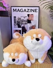 Gấu bông Shiba mừng rỡ