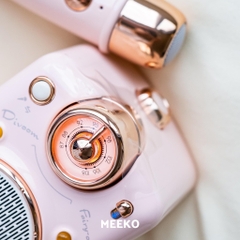 Loa Bluetooth Kiêm Mic hát Karaoke Fairy