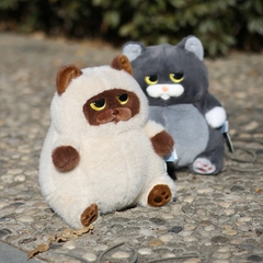 Mèo Miu Chan bụng bự