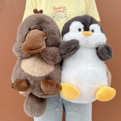 Hội thú Chubby bụ bẫm 40cm