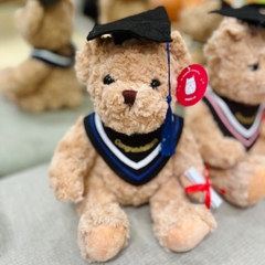 Gấu Teddy tốt nghiệp 30cm