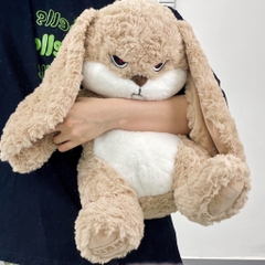 Gấu bông Thỏ bunny mặt quạo