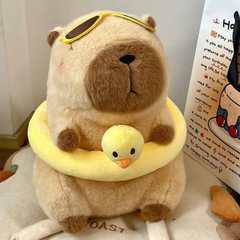 Chuột lang Capybara đi bơi