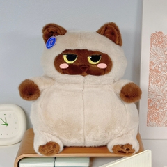 Mèo Miu Chan béo bụng bự