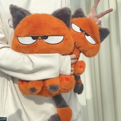 Mèo cam Meidikai