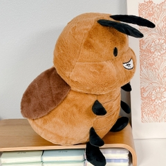 Gián cường tráng