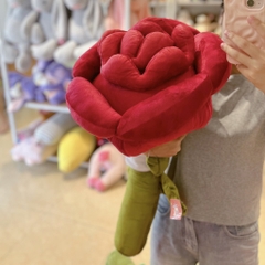 Hoa hồng bông Rosy