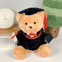 Gấu Teddy tốt nghiệp