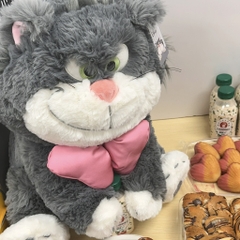 Mèo Lucifer nơ hồng