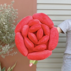 Hoa hồng bông Rosy