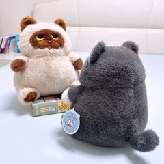 Mèo Miu Chan bụng bự