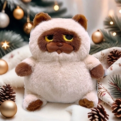 Mèo Miu Chan bụng bự