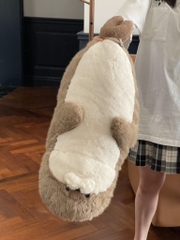 Hải cẩu bụng béo Habi