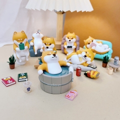 Decor Shiba phè phỡn nhìn muốn giỡn