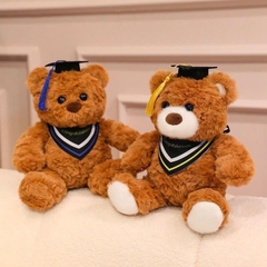 Gấu Teddy tốt nghiệp lông xù