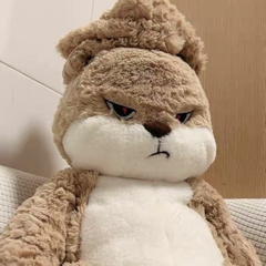Gấu bông Thỏ bunny mặt quạo
