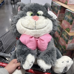 Mèo Lucifer nơ hồng