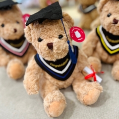 Gấu Teddy tốt nghiệp 30cm