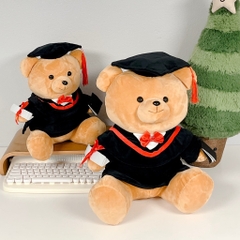 Gấu Teddy tốt nghiệp