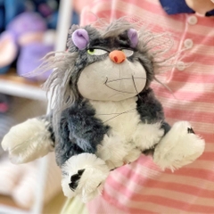 Mèo Lucifer mặt quạo