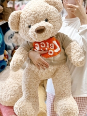 Gấu bông Teddy nâu Big Love