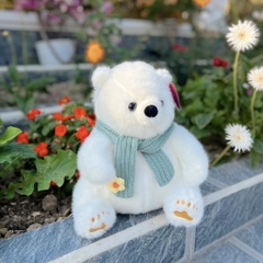 Gấu bắc cực quàng khăn xanh