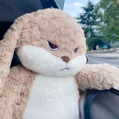 Gấu bông Thỏ bunny mặt quạo