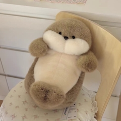 Rái cá bông tròn xoe