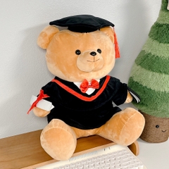 Gấu Teddy tốt nghiệp