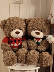 Gấu bông mặc áo len cao cấp Terry Teddy