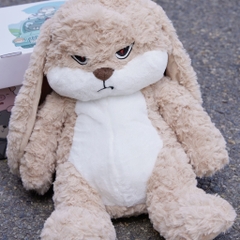 Gấu bông Thỏ bunny mặt quạo