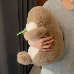 Rái cá bông tròn xoe