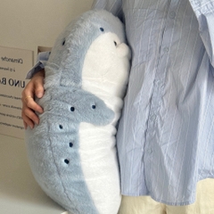 Hải cẩu bụng béo Habi
