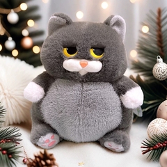 Mèo Miu Chan bụng bự