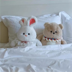 Hội gấu bông mềm Asari