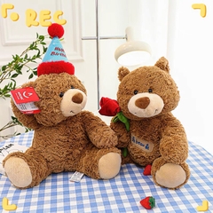 Gấu Teddy đội mũ sinh nhật Teddy Birthday 40cm