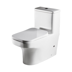 Bồn cầu 1 khối cao cấp Bravat C21122UW-3-ENG