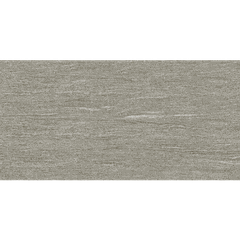 Gạch ốp tường xương bán sứ Viglacera BS3604