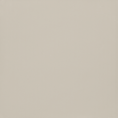 Gạch Granite Viglacera TS5-601