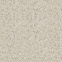 Gạch lát nền Đồng Tâm Muối Tiêu 4GA01