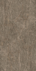 Gạch granite men mài Đồng Tâm 4080FANSIPAN002-FP